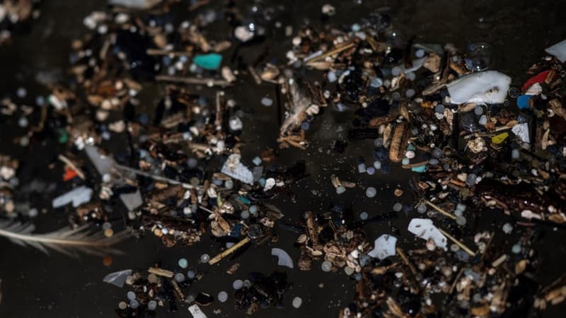 Des déchets plastiques collectés lors d'un nettoyage de plage organisé à Tregantle, en Angleterre, le 26 février 2023.