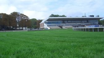 Les pronos hippiques du lundi 31 octobre 2022