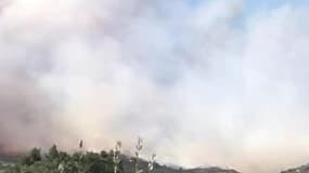 Incendie de végétation en Corse - Témoins BFMTV