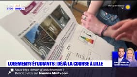 Hauts-de-France: la pomme de terre de plus en plus chère dans la région