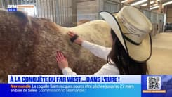Balades Normandes du samedi 22 février 2025