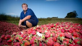 Le fermier Aidan Young avait dû détruire ses fraises lors de la psychose qui avait frappé l'Australie (ici le 20 septembre 2018 à Glass House Mountains)