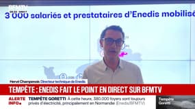 Tempête Goretti: "380 000 foyers toujours privés d'électricité, principalement en Normandie", annonce le directeur technique d'Enedis