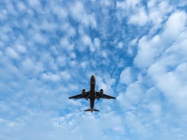 Les compagnies aériennes tablent sur une baisse de chiffre d'affaires de 46%.