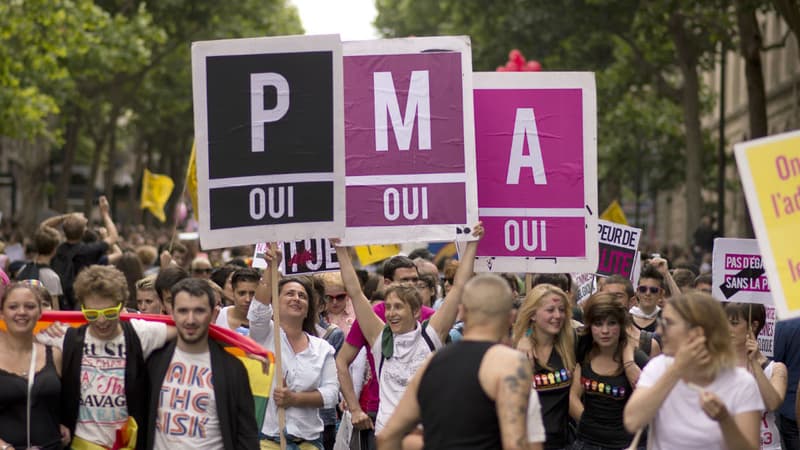 Image d'illustration - une manifestation en faveur de la PMA datée de 2013