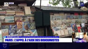 Des journées "entre zéro et dix euros": les bouquinistes parisiens appellent à l'aide