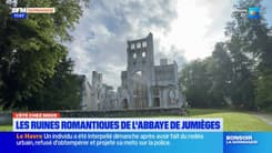 L'été chez nous: l'histoire des ruines romantiques de l'abbaye de Jumièges