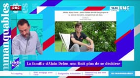 Les enfants d'Alain Delon continuent de se déchirer sur les plateaux TV