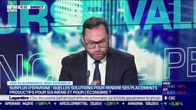 Vincent Cudkowicz (Bienprévoir.fr) : Surplus d'épargne, quelles solutions pour rendre ses placements productifs pour soi-même et pour l'économie ? - 26/04