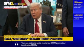 Gaza: Donald Trump assure que le Hamas "a accepté certaines choses très importantes"
