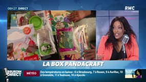 "J'ai testé pour vous": la "Box Pandacraft"