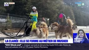 Hautes-Alpes: une femme se forme au métier de musher dans la vallée La Clarée