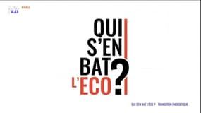 Qui s'en bat l'éco ? La transition énergétique