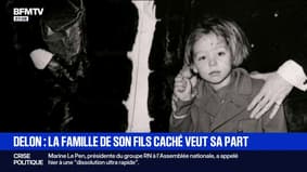 Testament contesté, fils caché... La bataille autour de l'héritage d'Alain Delon relancée?