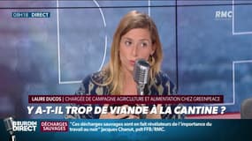 Menu végétarien dans les cantines scolaires: "Les enfants mangent trop de viande: deux fois trop de protéines selon les scientifiques" 