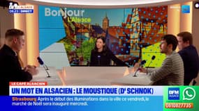 Le Café Alsacien: le moustique, "d'schnok"