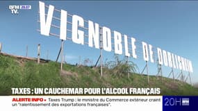 Annonces de Donald Trump: ces secteurs inquiets des nouvelles taxes douanières américaines 