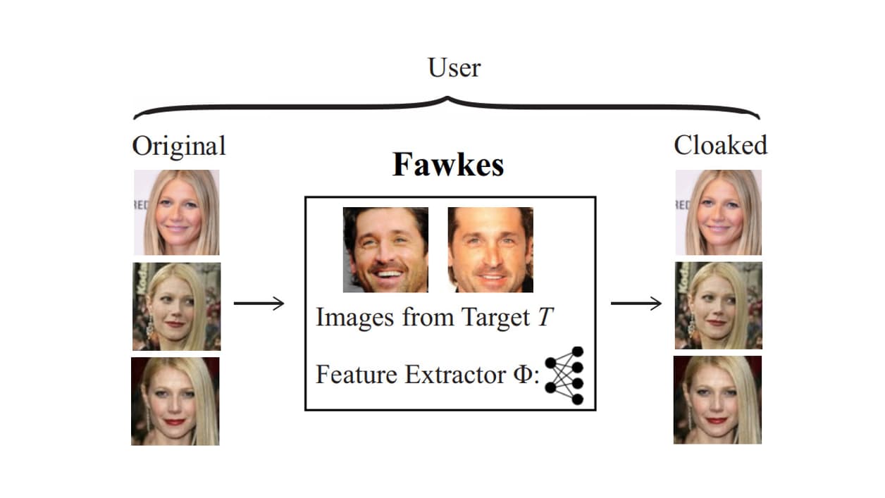 Transformation réalisée par le logiciel Fawkes