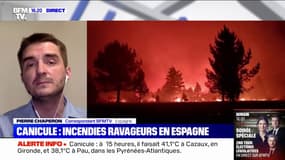 Canicule: des incendies ravageurs en Espagne