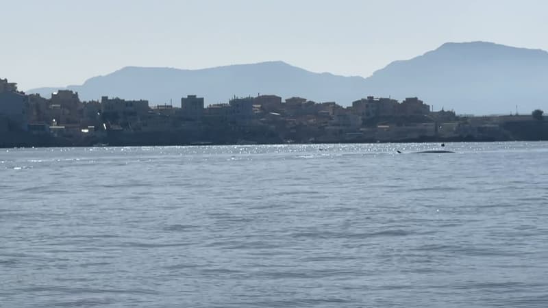 La rade de Marseille (illustration).