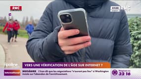 Pour mieux protéger les mineurs en ligne, cinq pays européens vont tester une application permettant de vérifier l'âge des utilisateurs
