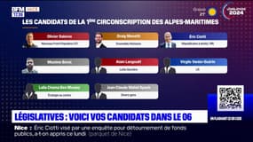 Législatives: le point sur les candidatures dans les Alpes-Maritimes