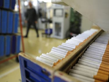 Dans la dernière usine de cigarettes française, à Furiani (Corse), le 8 février 2023.