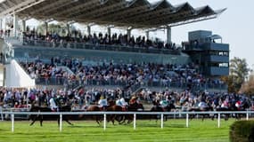 Les pronos hippiques du 1er juin2021