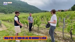 Mag d'ici : le tour du lac du Bourget à vélo