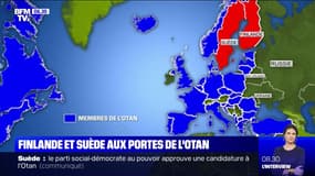 L'OTAN favorable à la demande d'adhésion de la Finlande et de la Suède  