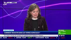 Sur le green : Comment investir dans les terres agricoles ? - 03/11