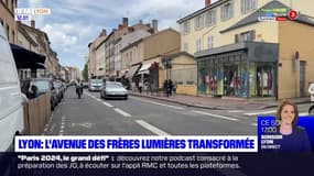 Lyon: le projet de réaménagement de l'avenue des Frères-Lumières inquiète les commerçants