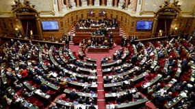 Les sénateurs au palais du Luxembourg le 23 janvier 2025. (Photo d'illustration)
