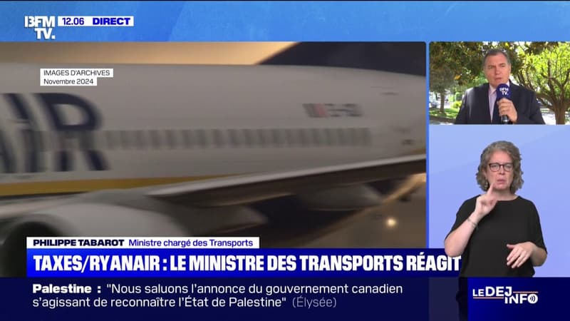 Suppression de dessertes de Ryanair: le ministre des Transports souhaite que la taxe de solidarité sur les billets d'avion 