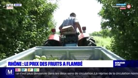 Rhône: les prix des fruits augmentent