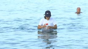 Une agente réalise un prélèvement d'eau sur la plage du Prado à Marseille le 31 août (illustration)