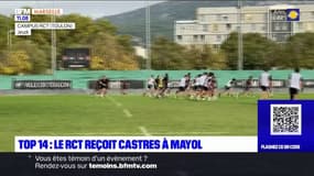 Top 14: le RCT reçoit Castres au Stade Mayol