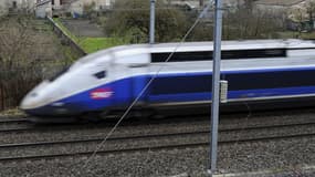 Le TGV a dû être immobilisé (illustration)