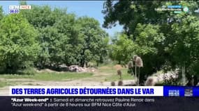 Des terres agricoles détournées dans le Var