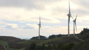 Le parc éolien du site de Bernargues, dans  l'Hérault, décembre 2023 