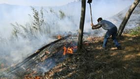 Un homme tente d'étouffer un feu à Bormes-les-Mimosas. 