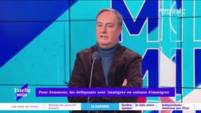 "Je pense que Zemmour exagère avec ces problématiques à mille égards. Le premier point problématique à mon avis c'est que ça lui permet d'être de cette manière médiatiquement très présent à chaque fois", estime Julien Damon.