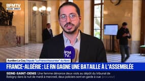 Niche parlementaire du RN: un "musée des horreurs racistes", estime Aurélien Le Coq (LFI)
