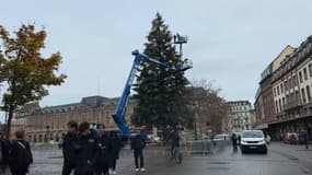 Des grues sont nécessaires pour décorer le sapin de Noël, de 30 mètres de haut, de la place Kléber à Strasbourg. 
