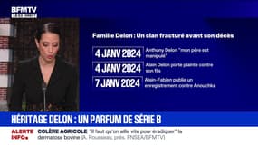 LES ÉCLAIREURS - Héritage d'Alain Delon: un clan fracturé