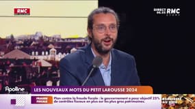 "L’éco-anxiété", "être en PLS", "boboïser": les mots qui font leur entrée dans le Larousse