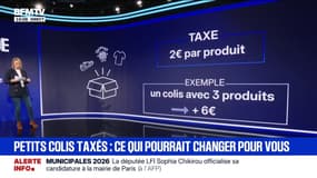 LES ÉCLAIREURS - Taxe sur les petits colis: ce qui pourrait changer pour vous