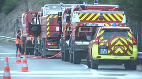 L'incendie s'est déclaré sur l'autoroute A8 dans le sens Nice-Aix. Au total, les flammes ont parcouru près de 6 hectares de végétation avant d'être fixé par les pompiers. 