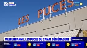 Villeurbanne: les Puces du Canal déménagent le temps d'une journée