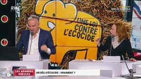 Délit d'écocide: "Doit-on poursuivre Barbara Pompili pour ce délit après la fermeture de Fessenheim?"